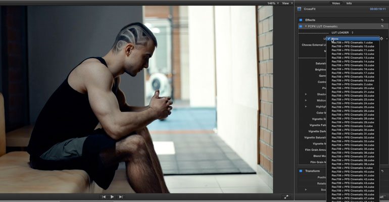 Professional - Color Grading LUT Presets for Final Cut Pro X