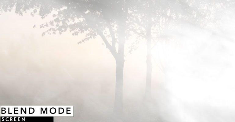 Professional - Composites and Elements for Final Cut Pro X