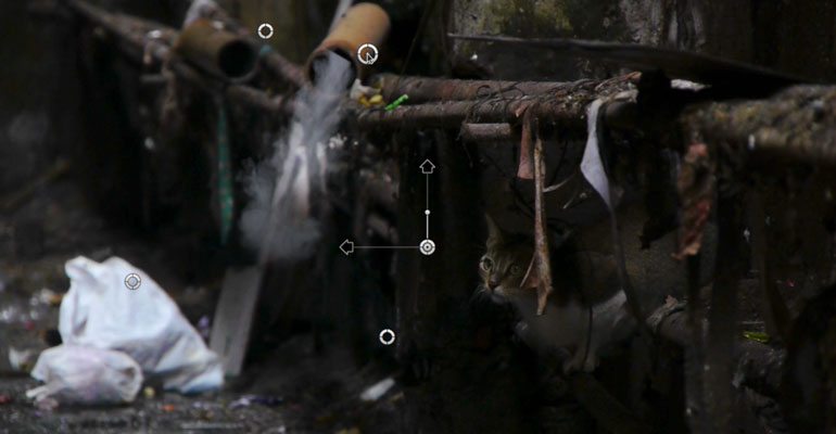 Professional - Composites and Elements for Final Cut Pro X
