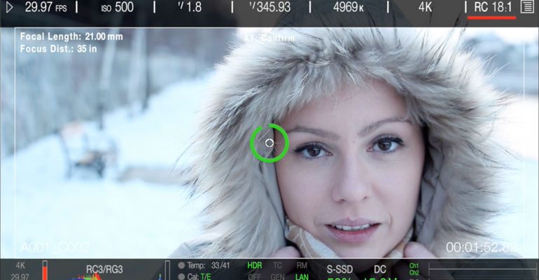 Professional - Overlay InterFaces for Final Cut Pro X