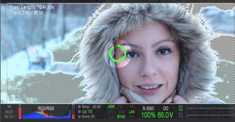 Professional - Overlay InterFaces for Final Cut Pro X