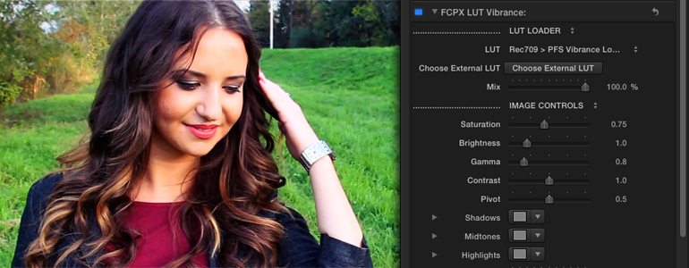 Professional - Color Grading LUT Presets for Final Cut Pro X