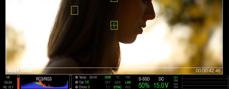 Professional - Overlay InterFaces for Final Cut Pro X