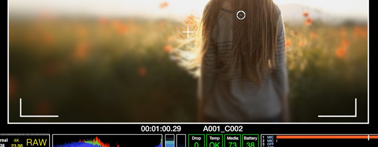 Professional - Overlay InterFaces for Final Cut Pro X