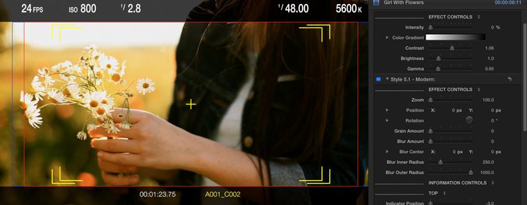 Professional - Overlay InterFaces for Final Cut Pro X