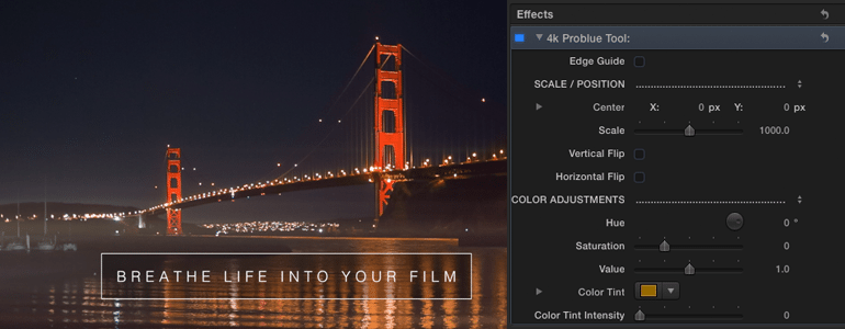 Professional - Composites and Elements for Final Cut Pro X