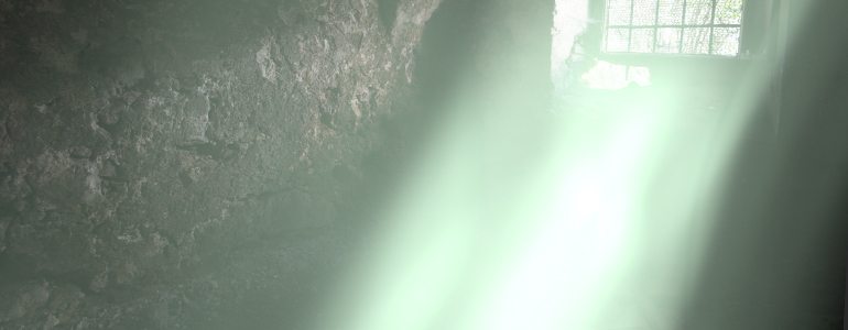 Professional - Light Transition - for Pixel Film Studios