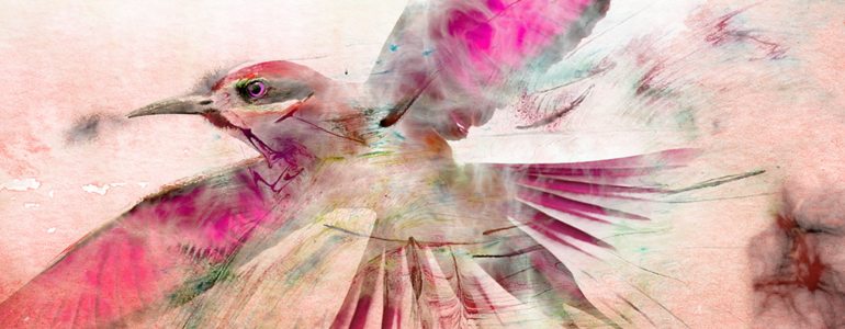 Professional - Dissolve Transition - for Pixel Film Studios