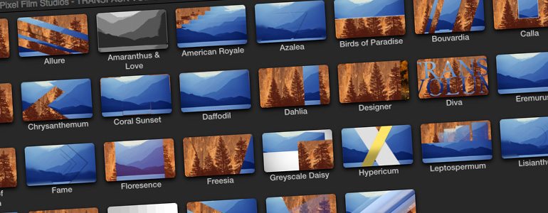 Professional - TransPack Transitions - for Final Cut Pro X