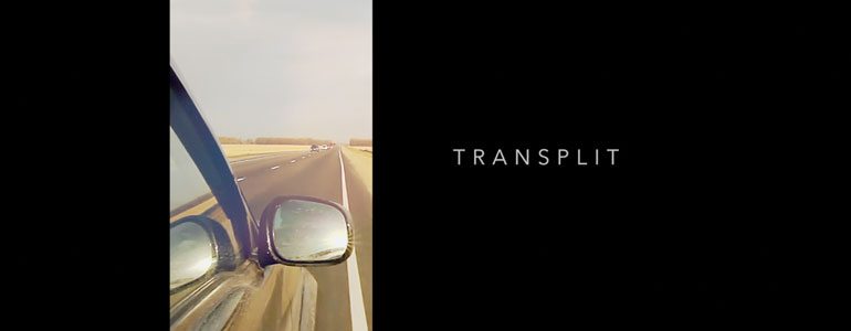 Professional - Split Transition - for Pixel Film Studios