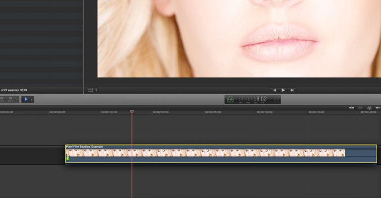Professional - Image Adjustment Tools for Final Cut Pro X