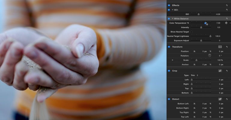 Professional - Cinematic Lens Tools for Final Cut Pro X
