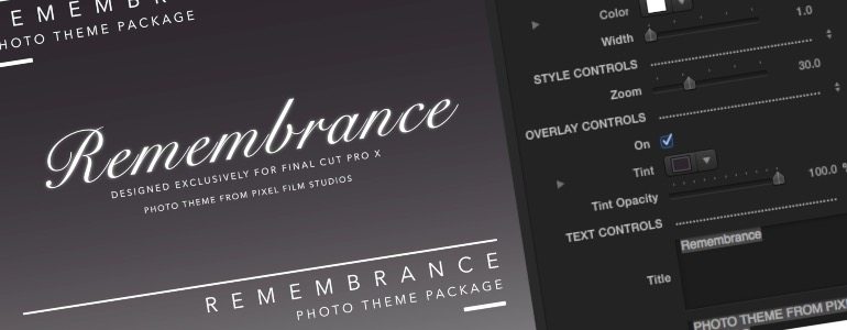 Professional - Themes for Final Cut Pro X