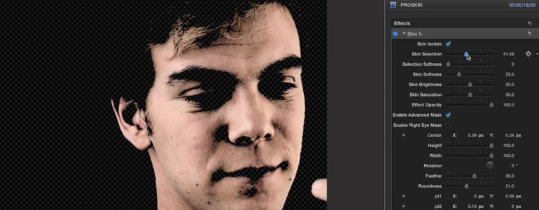 Professional - Image Adjustment Tools for Final Cut Pro X