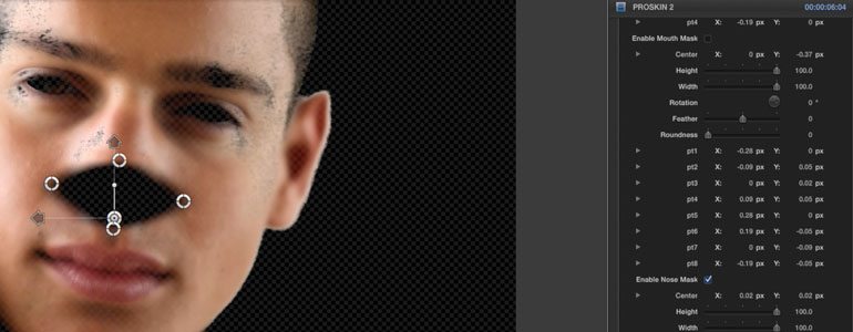 Professional - Image Adjustment Tools for Final Cut Pro X