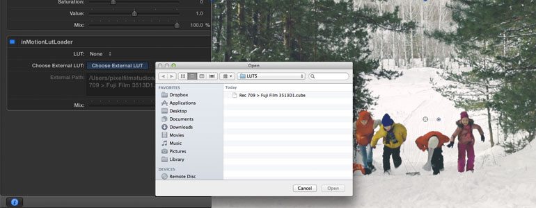 Professional - Look-Up Table loader - for Motion 5