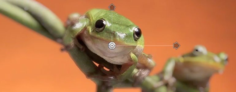 Professional - Cinematic Lens Tools for Final Cut Pro X