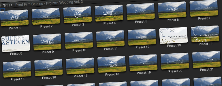 Professional - Introduction Titles - for Final Cut Pro X