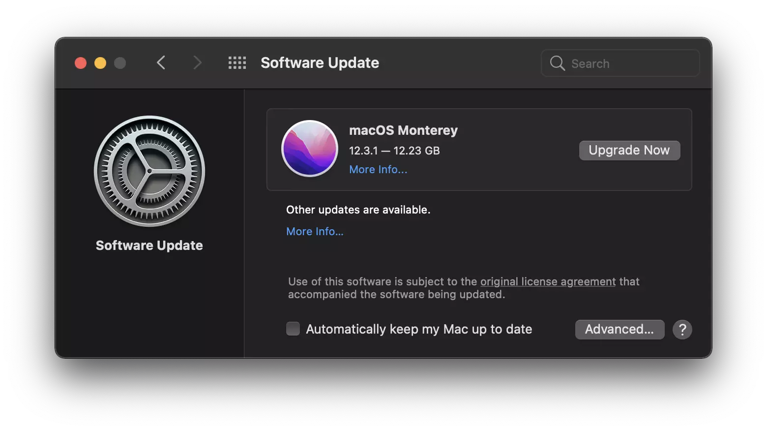 Update MacOS in Software Update in System Preferences